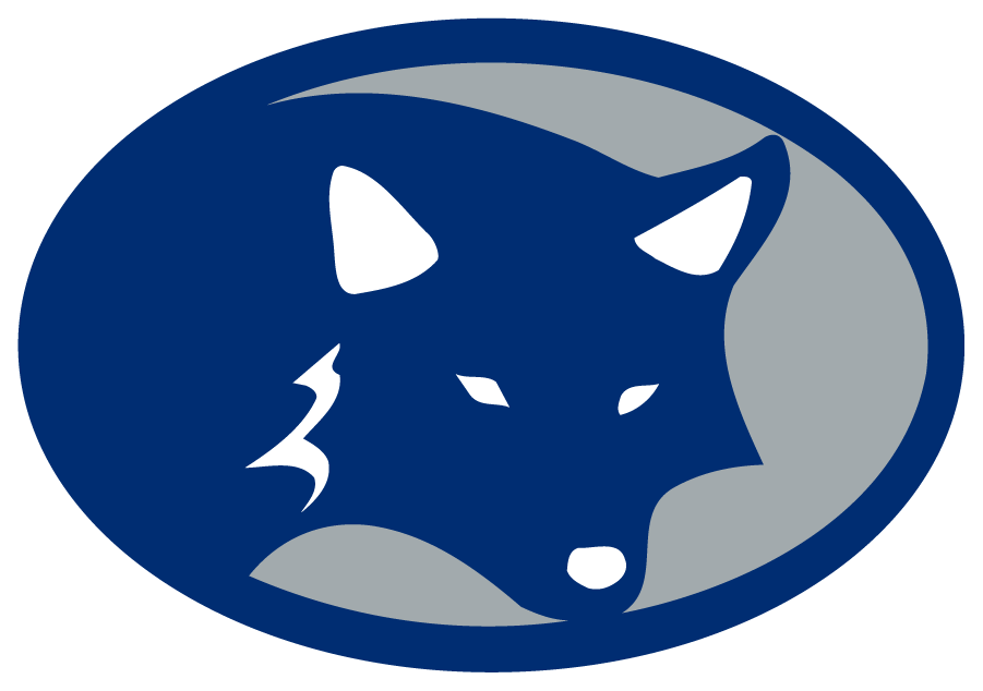 Nevada Wolf Pack 2001 Secondary Logo diy DTF decal sticker